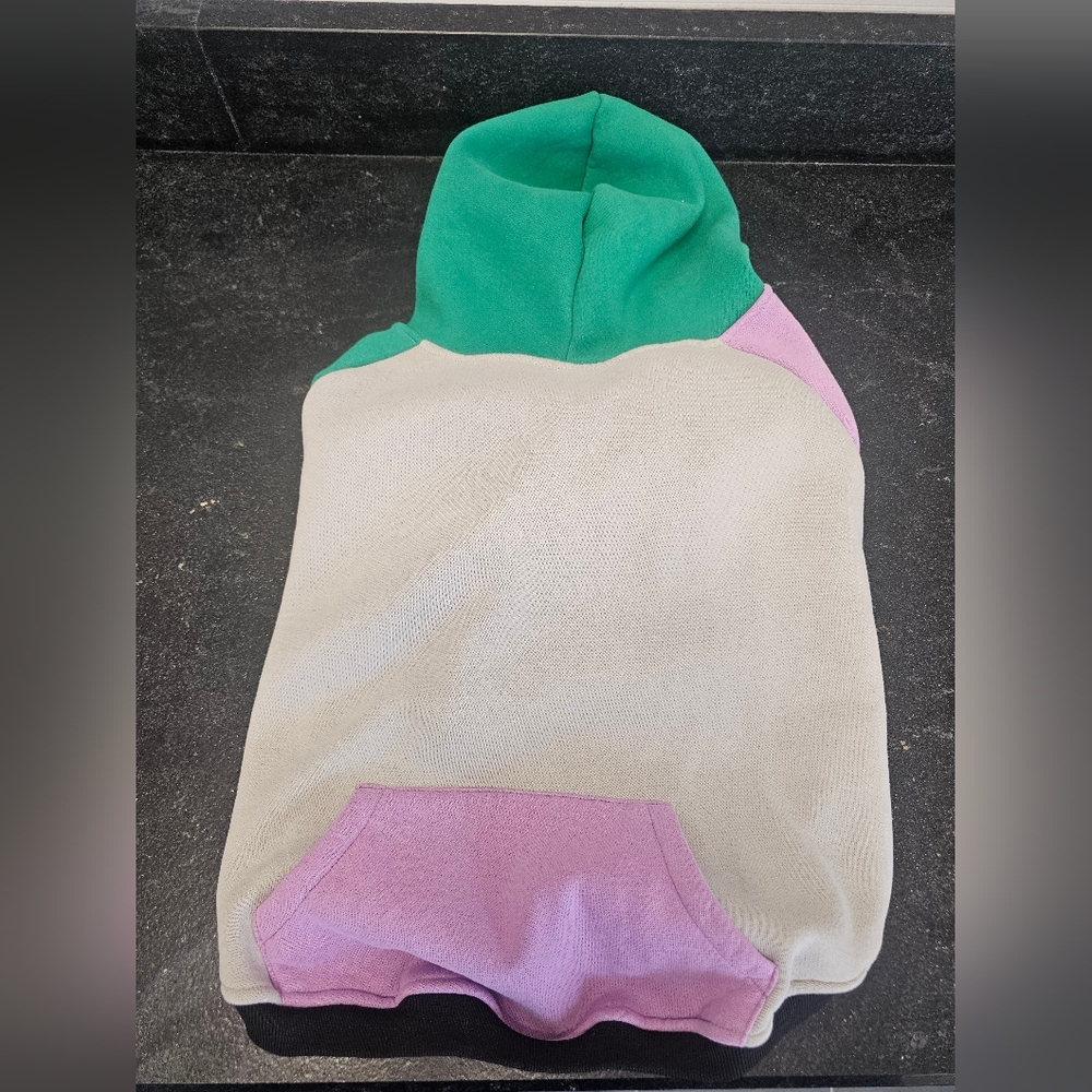 Dog Colorblock Hoodie with Pocket